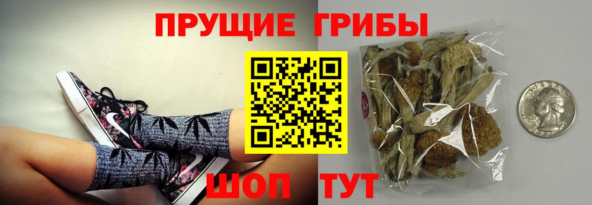 Родники  Псилоцибиновые грибы мицелий  Вход с VPN  Галлюциногенные грибы GOLDEN TEACHER 